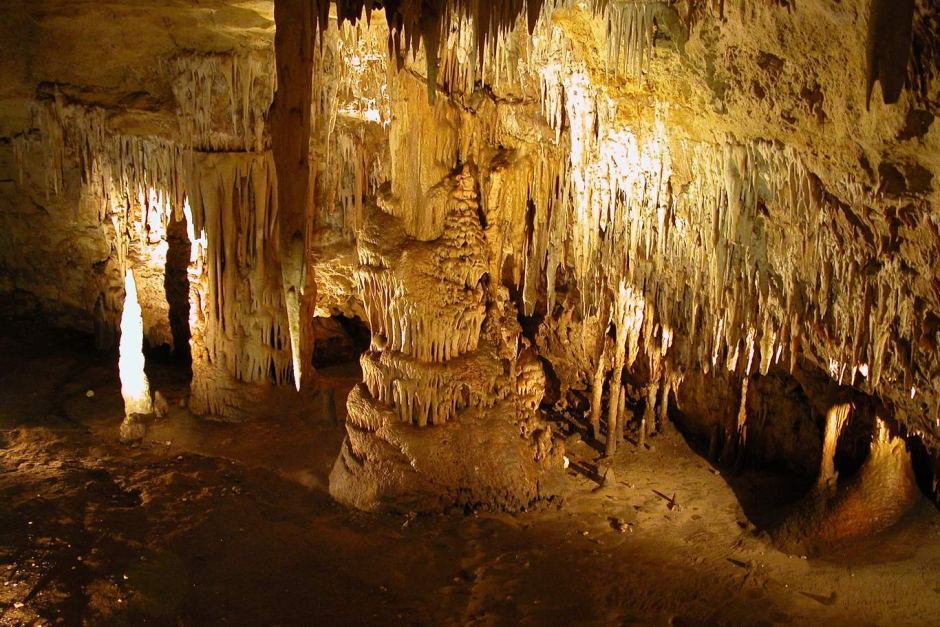 Visit the ancient forest caves in Baratang Islands