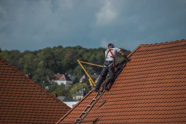 DIY Roofing