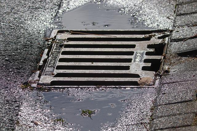 gutter cleaning