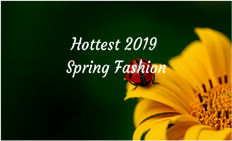 Hottest Spring Fashion 2019